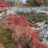 Granite outcrop at the top of Whipple Hill. Photo provided by the Town of Lexington, Conservation Division.