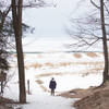 Frozen Beach