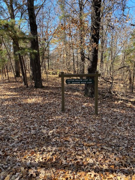 Intersection of two trails.