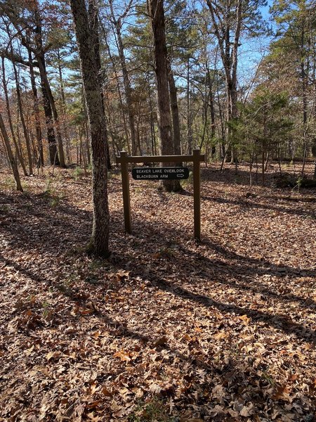 Trail to Beaver Lake Overlook.