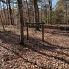 Trail to Beaver Lake Overlook.