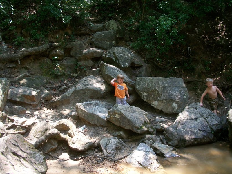 Little hikers.