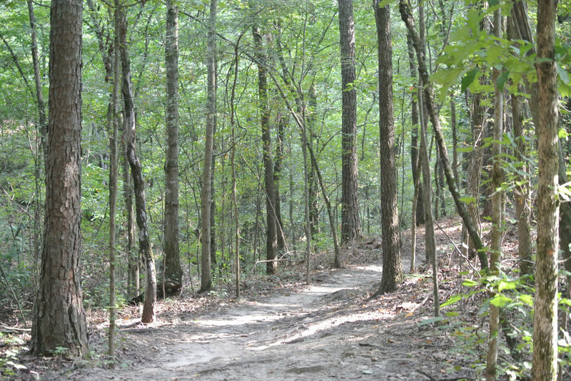 Red Mountain Park