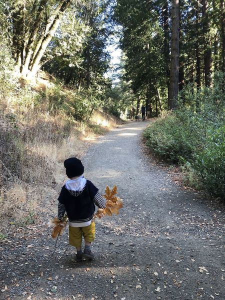 The trail is easy to walk, not always that wide but fairly flat. Fall is a nice time of the year for kids.