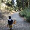 The trail is easy to walk, not always that wide but fairly flat. Fall is a nice time of the year for kids.