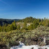 The top of the Fiddle Creek Ridge