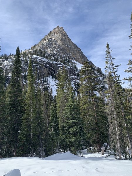 Early November on the Monarch Trail