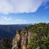 Summit of Palisade Mountain, Drake, Colorado