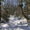 Photo location is approximate. Once I achieved the lions share of elevation gain, this was the trail view.  No one had been on the trail for a while. No significant foot prints in the snow but well marked trail helped.