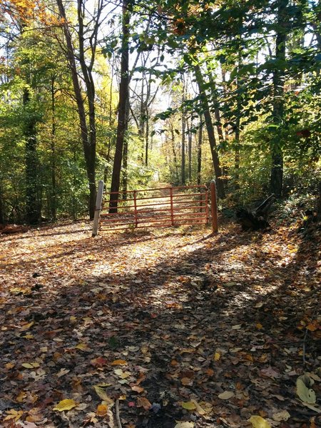 Gate on Tree Lane Trail next to junction with Tree Hills Trail.