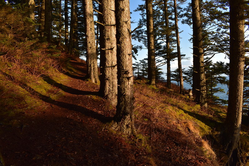 Piedmont Trail