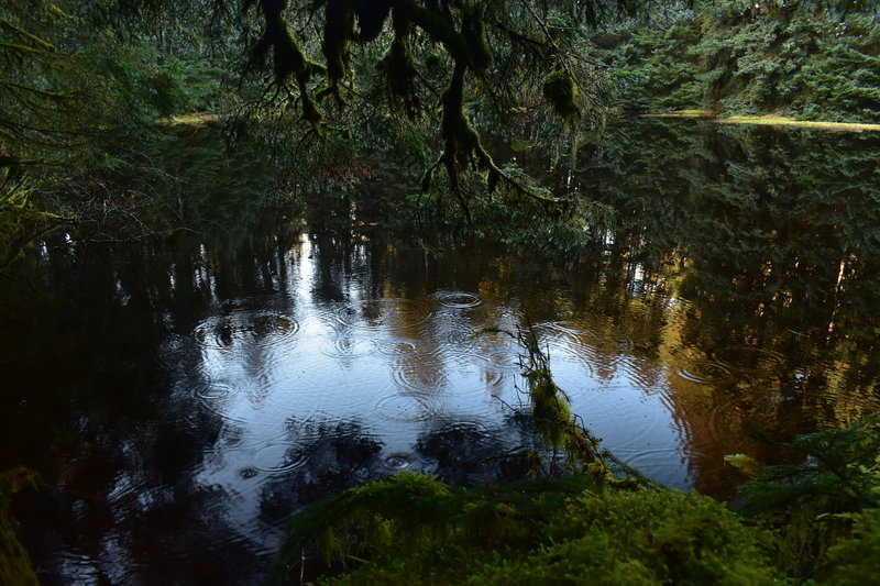 Pond along the trail.