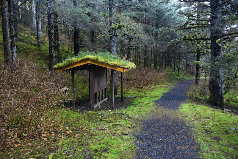 moss covered interpretative area and trail