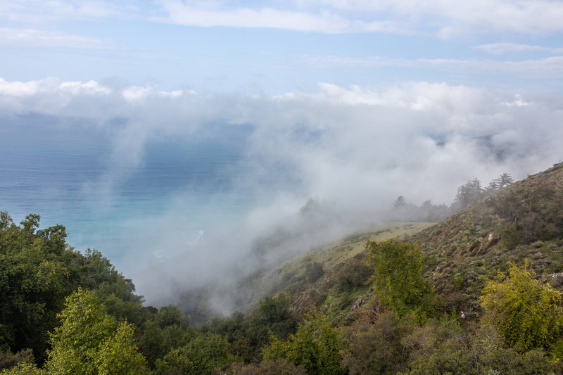 Low hanging clouds on Kirk Creek Trail