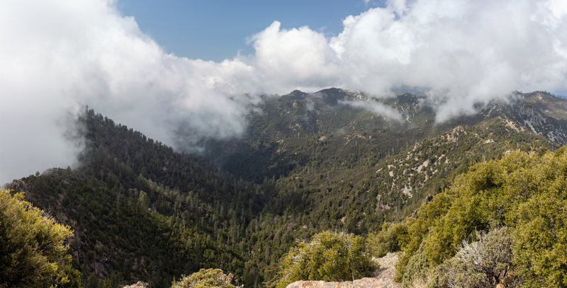 View from Cone Peak