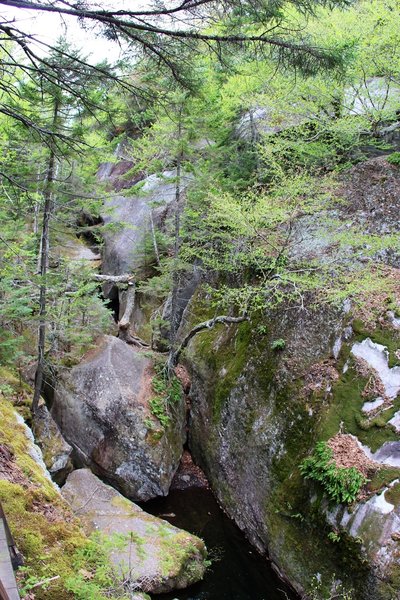 Through the Moose Cave.