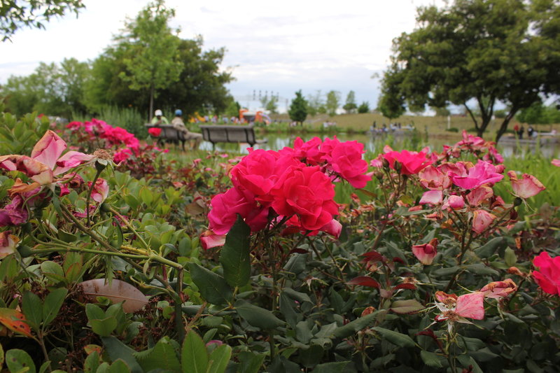 Railroad Park, Birmingham, Alabama