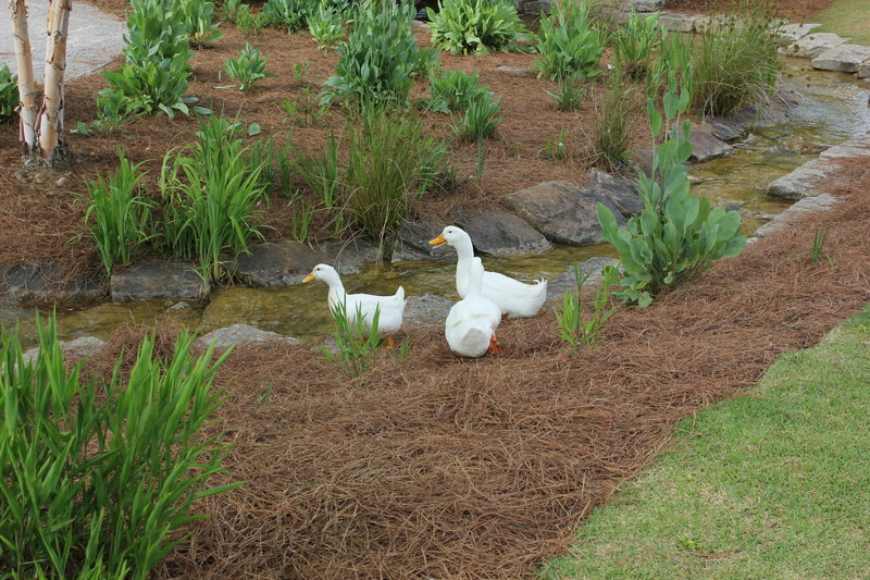 Railroad Park, Birmingham, Alabama