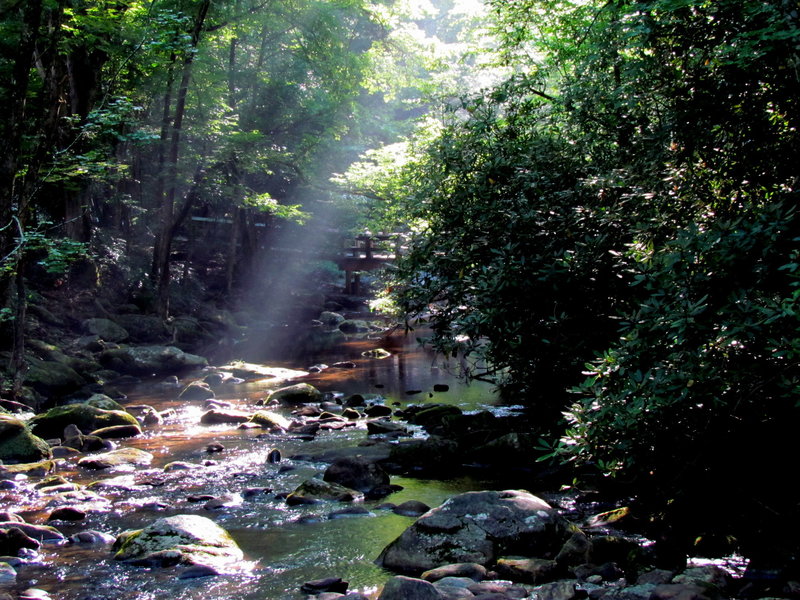 Sun Rays Jacob Fork South Mountains SP