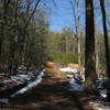 High Shoals Falls Loop