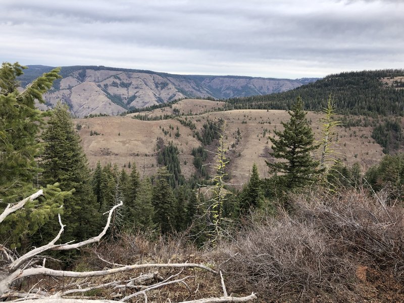 Nine Mile Ridge above Buck Creek Canyon