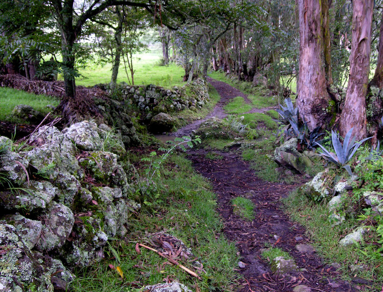 Sendero antiguo