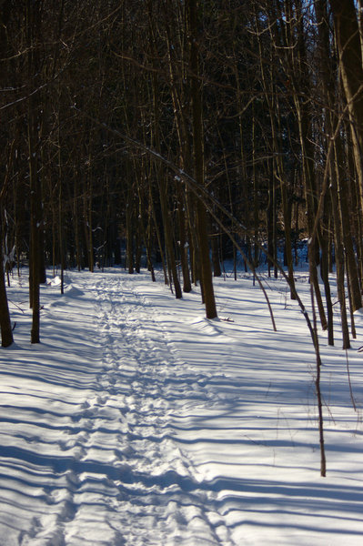 Snowy path