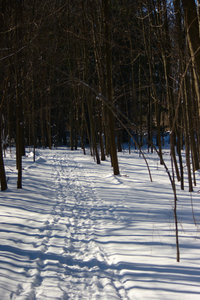 Snowy path