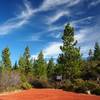 Red lava cinders at the trailhead