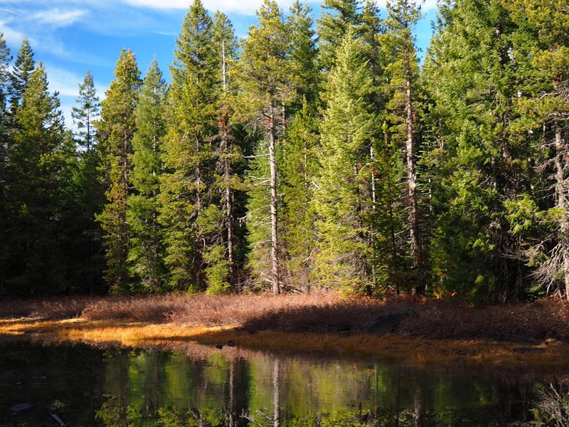 The northern of the Twin Ponds