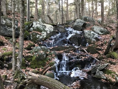 Icy brook in November.