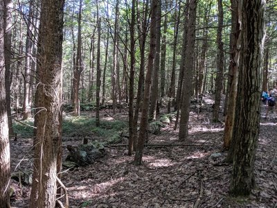 Savage Hill Abandoned Farm Settlement