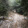 Morning frost on the trail