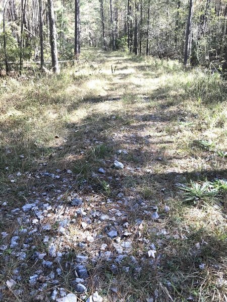 Where the gravel starts to end that can be challenging at the beginning and an easier smoother trail starts.