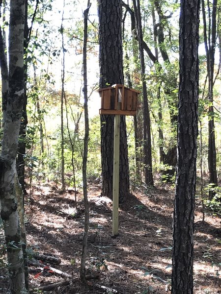 Some bird houses are more hidden than this one among the trees along the trail for bats, wood ducks among other winged animals.