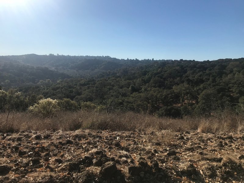 View of the rolling Lamorinda hills.