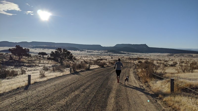 Running the road toward the start of Joufla's Loop