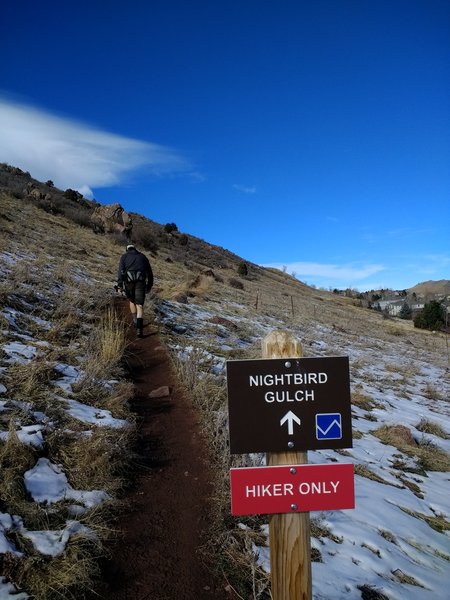 And so the adventure begins.  The trail stays singletrack the whole way through.