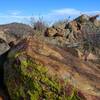 Rocks and bright green lichen along the trail.