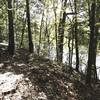 View from bench overlooking Edisto River below is a steep embankment. Trail back to park is left mostly following the river the rest of way back.