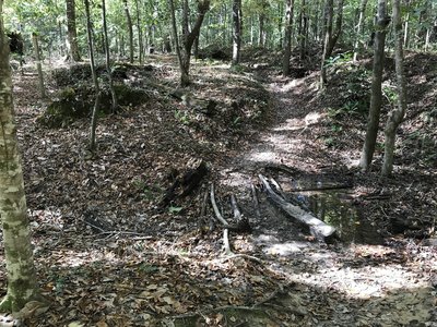 Possibly the only slight water crossing if a good bit of rain from the looks of it.