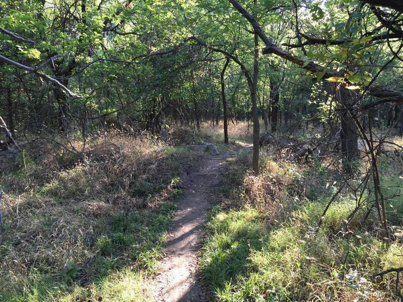 Small obstacle on the trail. This area was a dump for when Harry St was torn out so there's concrete chunks everywhere.