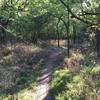 Small obstacle on the trail. This area was a dump for when Harry St was torn out so there's concrete chunks everywhere.