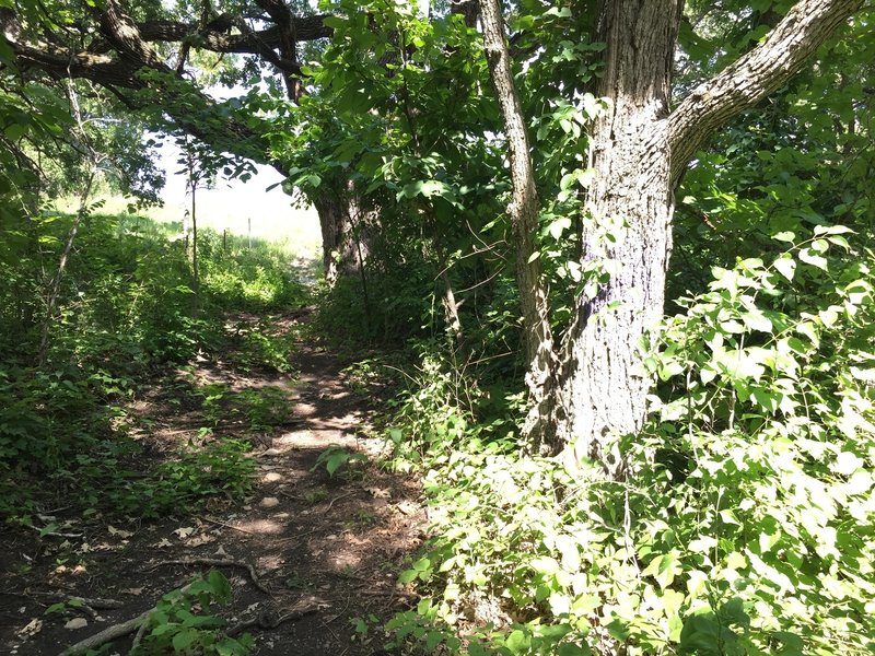 The start of several small climbs and switchbacks that are a blast for us flat-landers!