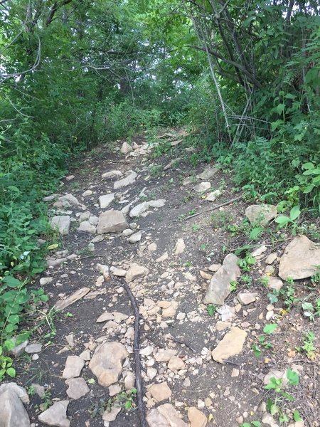 This is a steep climb with rocky footing.