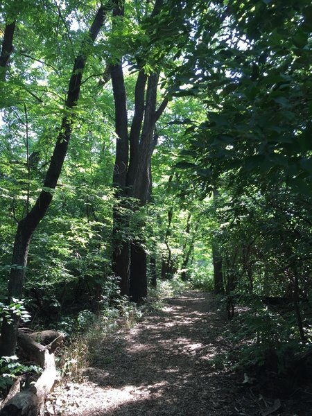 Entrance to the Sand Creek Trail.