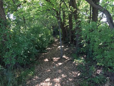 All of this was lopped, no face slappers to be found.