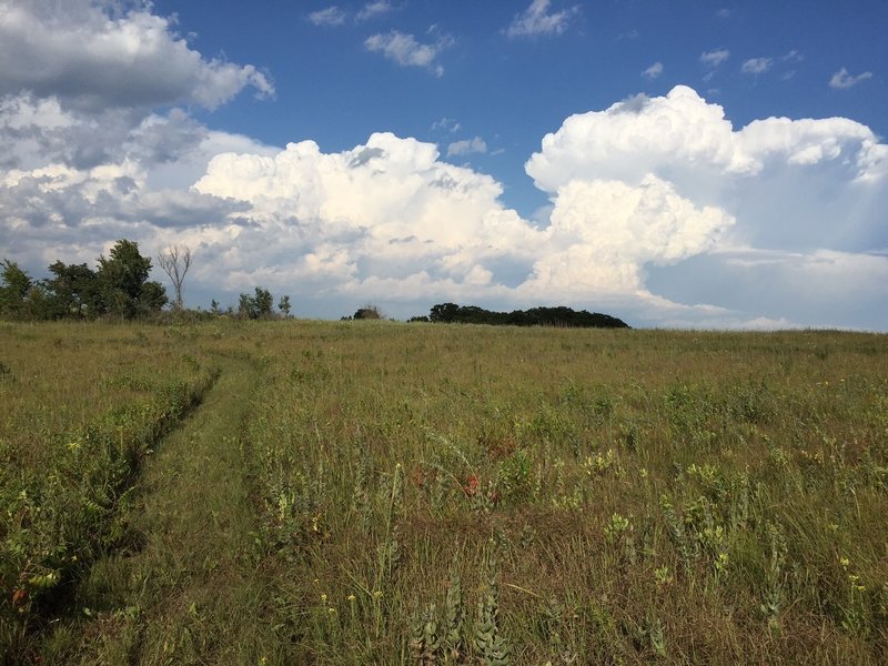 This mowed trail has some big rocks hiding in it.