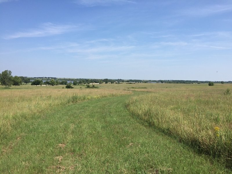 This trail has some climbing, but no tread.  I'm going to try and work with the land mangers to make one.