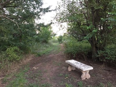 Another bench for the hikers...or worn out bikers...you pick!